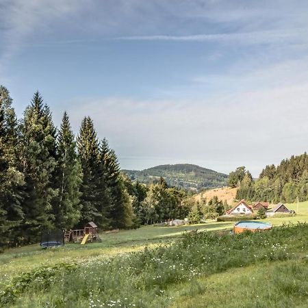Ski, Hike & Bike Apartman Rokytnice Nad Jizerou Extérieur photo